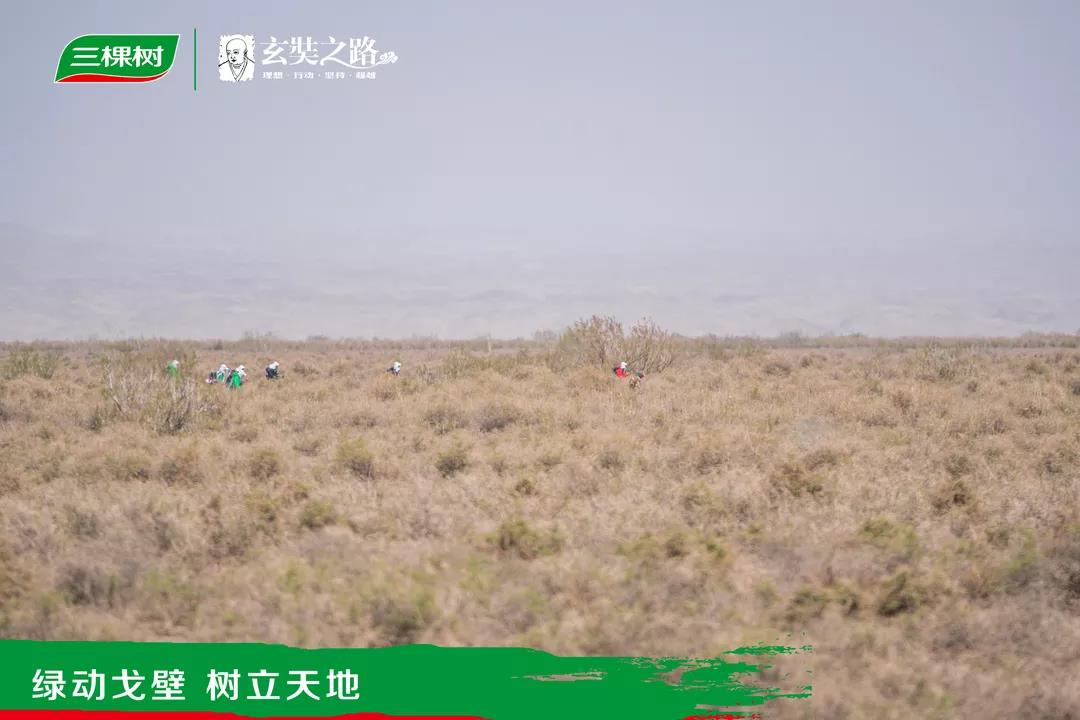 微信图片_20190513131544.jpg 微信图片_20190513131544.jpg
