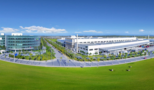 2020 Annual Report | 3TREES Bucked the Trend and Made a Historic Breakthrough in Q1 Profit